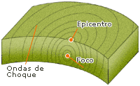 Ondas en la corteza